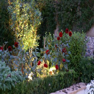 garden lighting spike spots Hunza